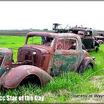 jan12-16my star wayne fallen img_1645-1